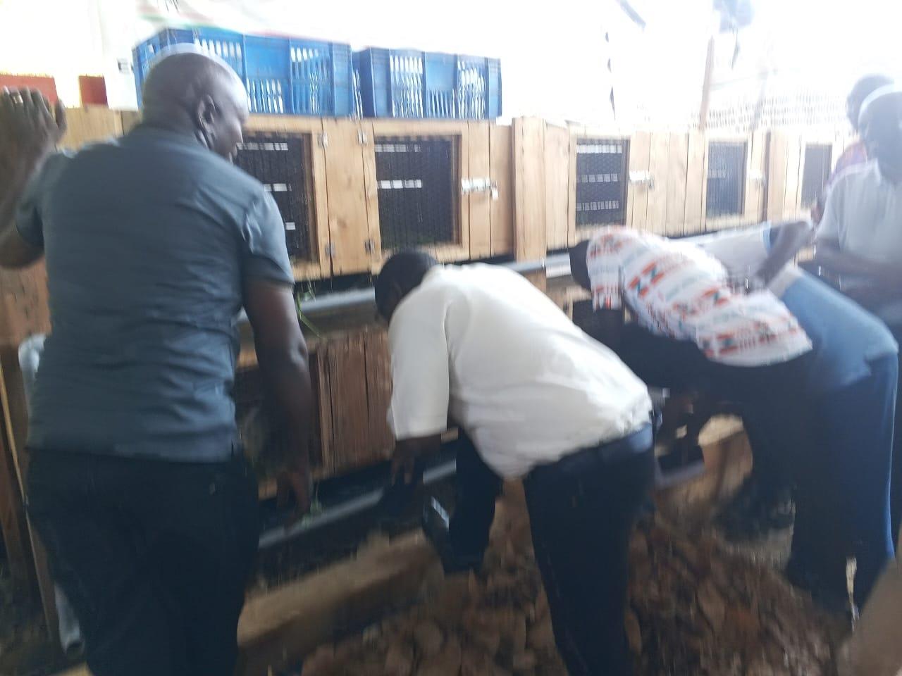 Démonstration d'un bac de vermicompostage lors de la visite de l'IFDC