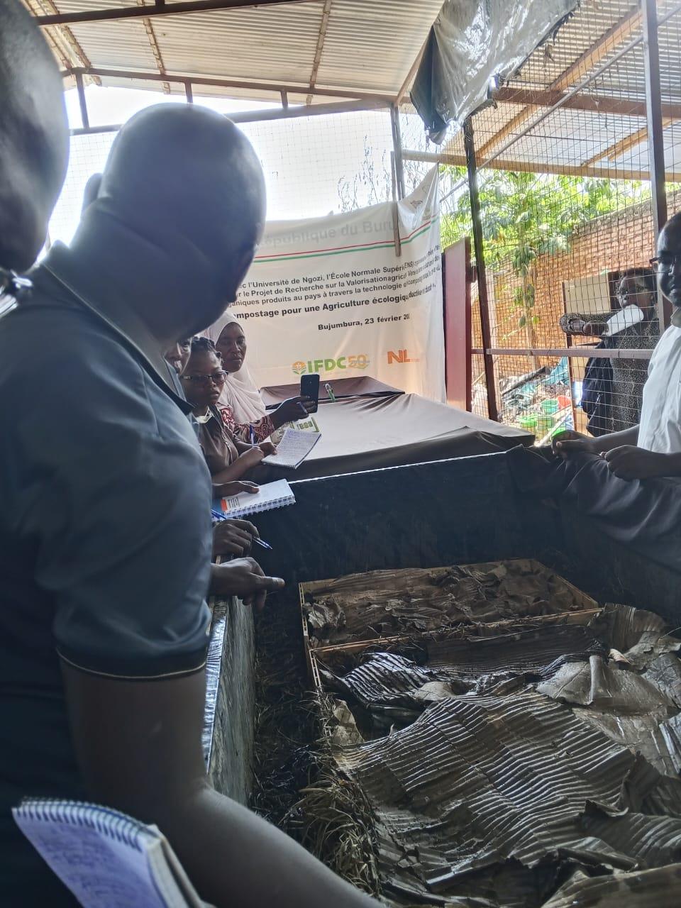 Visite d'une serre de maïs cultivé en bacs lors de la visite de l'IFDC