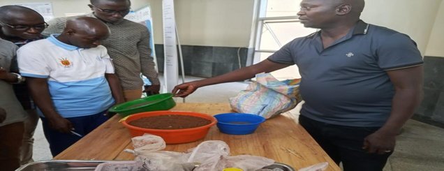 Démonstration d'échantillons de vermicompost lors de la visite de l'IFDC